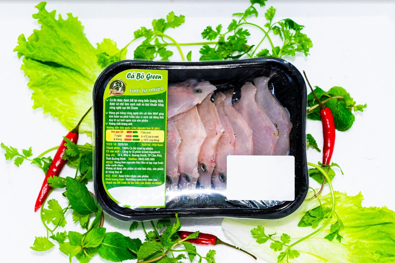 Cá bò Green